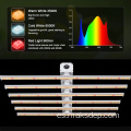 1000 mejores luces de cultivo de plantas LED de interior